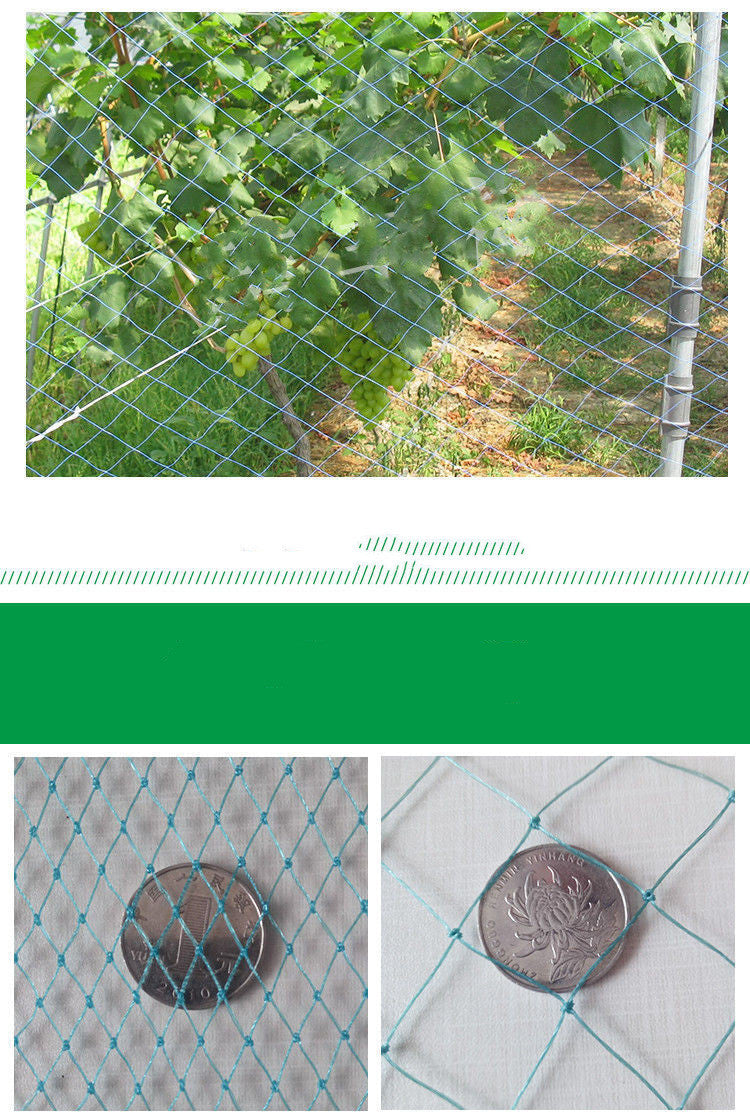 100m Poultry Chicken Netting Fence Chicken Netting Netting