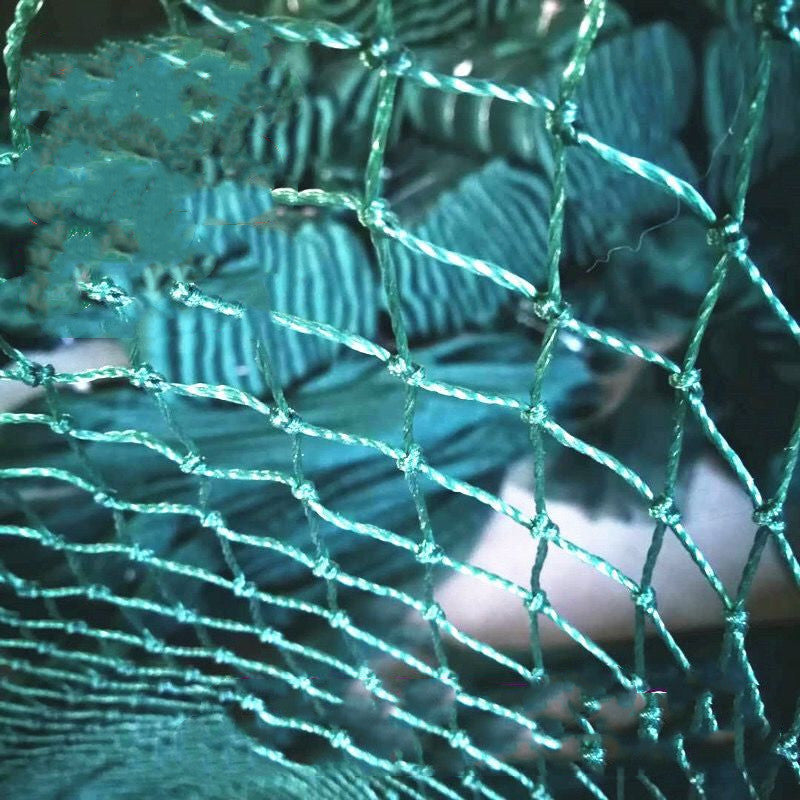 100m Poultry Chicken Netting Fence Chicken Netting Netting